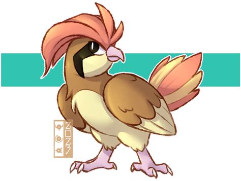 0017 Pidgeotto by dualcosmog on DeviantArt