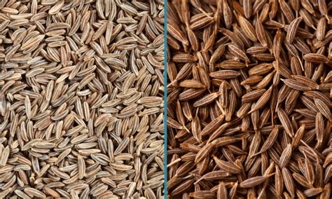 Caraway Seeds vs Cumin: What's the Difference? | Let's Foodie