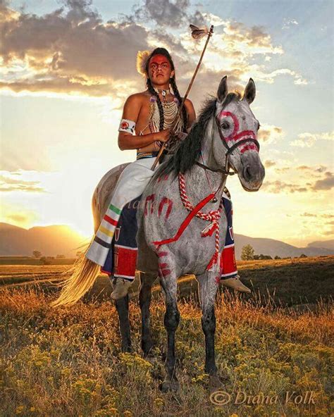 Warrior horse | Native american horses, Indian horses, Native american ...