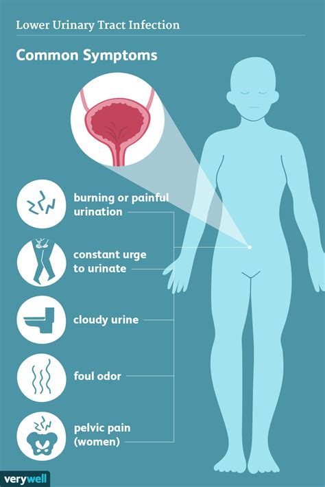 Urinary Tract Infections: Symptoms and Complications