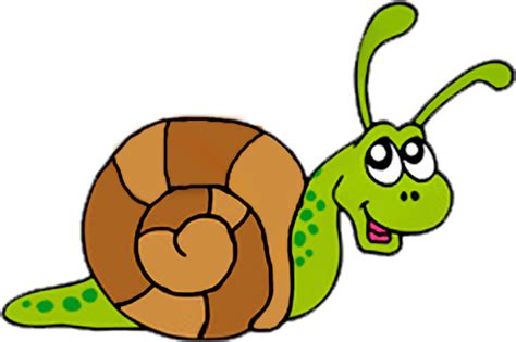Snail clip art free clipart images 2 - Cliparting.com