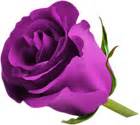 Purple Rose PNG Clip Art Image | Gallery Yopriceville - High-Quality Free Images and Transparent ...