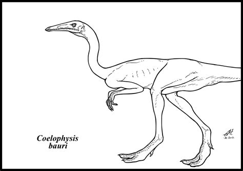 Coelophysis bauri by zakafreakarama on DeviantArt