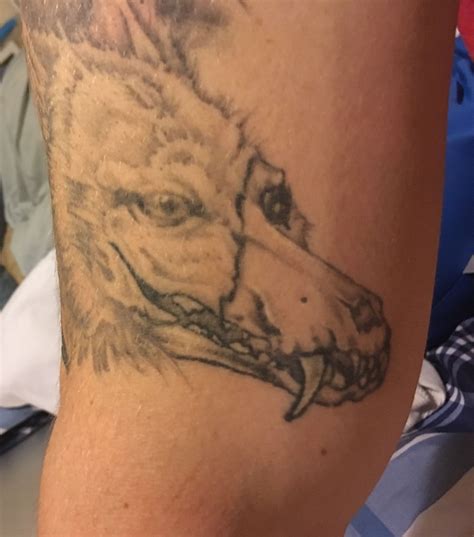 Coyote | Animal tattoo, Tattoos, Coyote