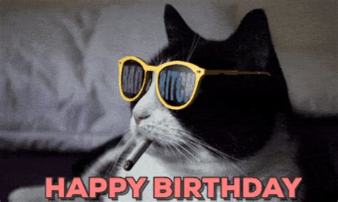 Happy Birthday Cat | Happy birthday cat, Cat birthday memes, Cat birthday