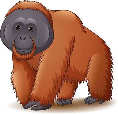 Illustration of orangutan isolated on white background Vector | Premium ...