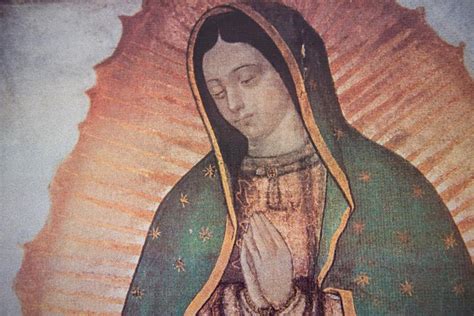 Our Lady of Guadalupe Gifts| National Catholic Register