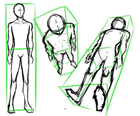 Body perspective for drawing | Proporciones dibujo, Cuerpo humano, Dibujo cuerpo