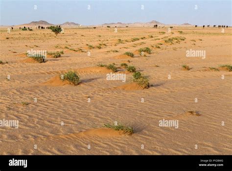 Desert landscape, Saudi Arabia Stock Photo - Alamy