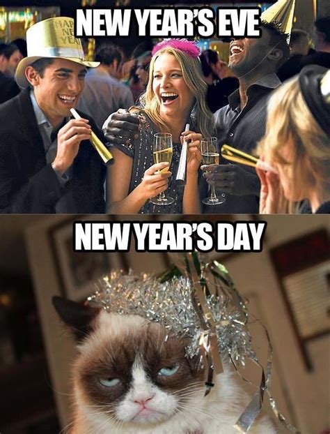 Happy Hangover Day! | Happy new year funny, Grumpy cat humor, Grumpy cat