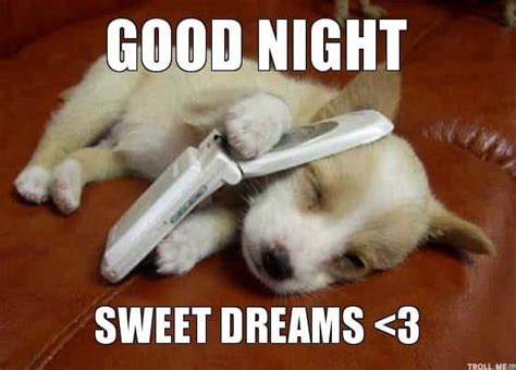 50 Cutest Goodnight Memes - SayingImages.com