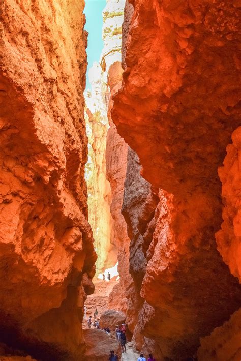 Navajo Loop Trail: Hiking in Bryce Canyon National Park | We Who Roam | Bryce canyon national ...