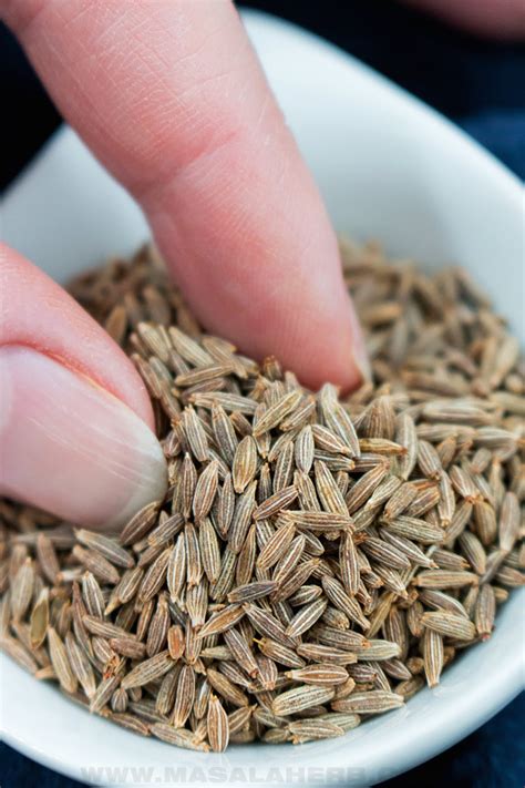 Cumin Uses + Recipe Ideas | MasalaHerb.com