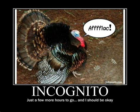 Pin by Mortgage Mom on Thanksgiving | Funny thanksgiving pictures, Funny turkey pictures ...
