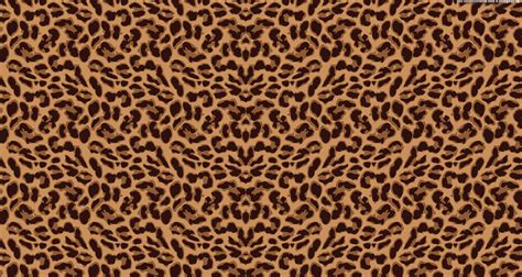 Cheetah Print Wallpaper - Wallpaper Sun