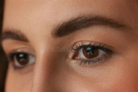 Close-up Image of Female Brown Eyes without Makeup Isolated Over Dark ...