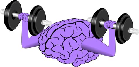 Free Brain Exercise Cliparts, Download Free Brain Exercise Cliparts png images, Free ClipArts on ...