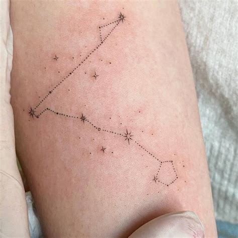 Pisces constellation tattoo located on the inner