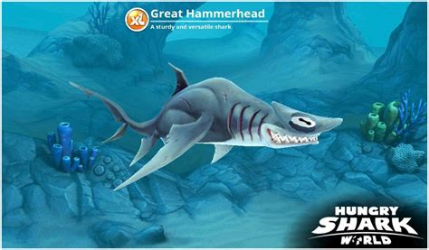 Great Hammerhead Shark, Cute Animals, Fish, Greats, Poses, Hungry, Universe, Dragon, Activity Toys