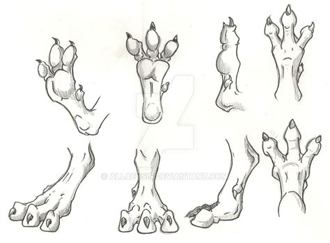 dragon feet drawings - Google Search | Guida al disegno, Schizzi d'arte, Schizzi