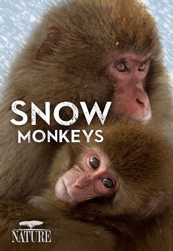 Snow Monkeys - Movies on Google Play