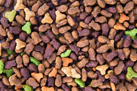 Dry Cat Food Free Stock Photo - Public Domain Pictures