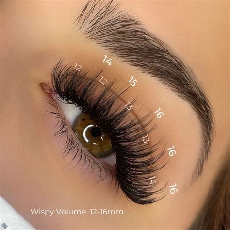 Wispy Lash Map Eyelash Extensions | Perfect eyelashes, Lashes fake ...