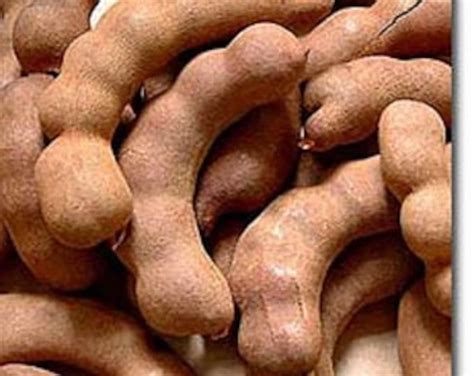 Tamarind Pods 1 lb. Sour | Etsy