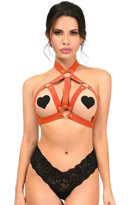 Red Stretchy Body Harness w/Gold Hardware Stretchy ElasticPremium Hardware Early Spring Outfits ...