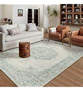 Amazon.com: Seavish Boho Living Room Rug 5x7 Pink Rugs for Bedroom ...