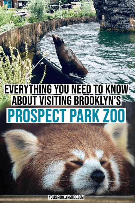 Visiting Prospect Park Zoo & Tips (Everything You Need To Know) - Your ...