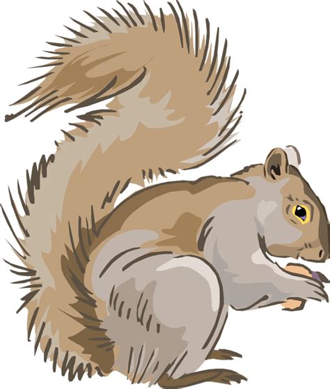 Free Gray Squirrel Cliparts, Download Free Gray Squirrel Cliparts png images, Free ClipArts on ...