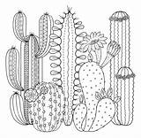 Cactus Coloring pages  100 Pages To Print For Free sketch template