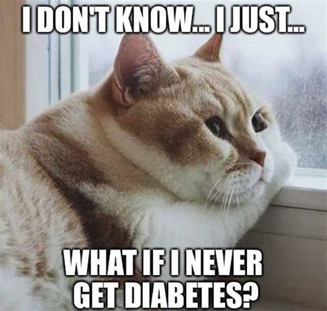 38 Best Diabetes Meme - Meme Central