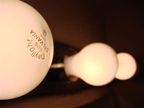 light bulbs | day 12. i just took some pictures of the light… | Flickr