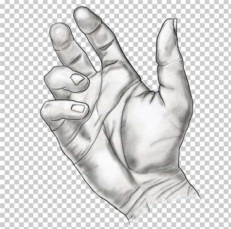 Thumb Drawing Hand Model Sketch PNG, Clipart, Arm, Art, Black And White ...