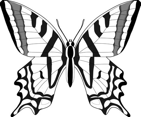 Butterfly Clip Art Black And White - ClipArt Best