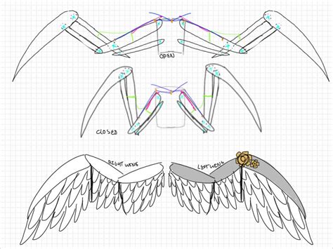 Edward articulated wings (wing blueprints) by Major-FURsonality on DeviantArt