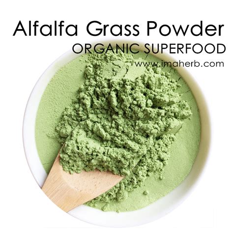 Organic Alfalfa Powder