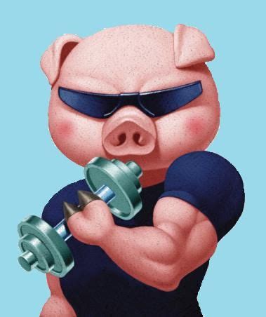 Weight-Lifting: The Most Unlikely Medicine | Funny pigs, Pig images ...