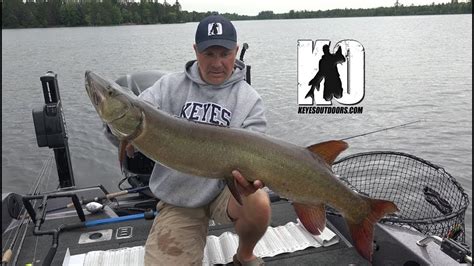 Fishing the Wisconsin River for GIANT River Muskies - YouTube