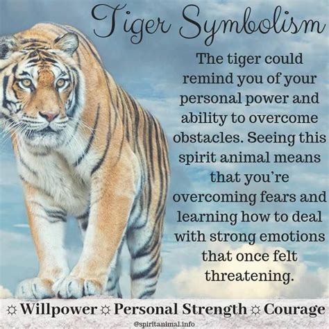 Tiger Spirit Animal | Totem Meaning