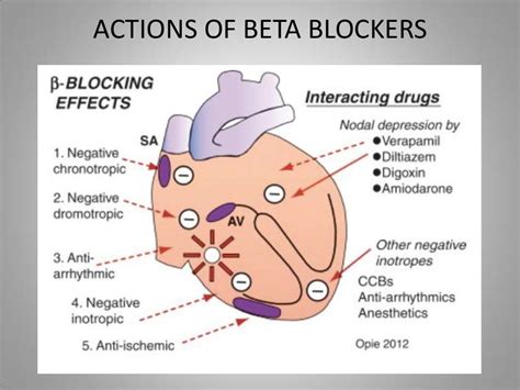 Beta-blockers in cardiovascular diseases