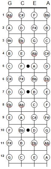 Ukulele Fretboard Diagram