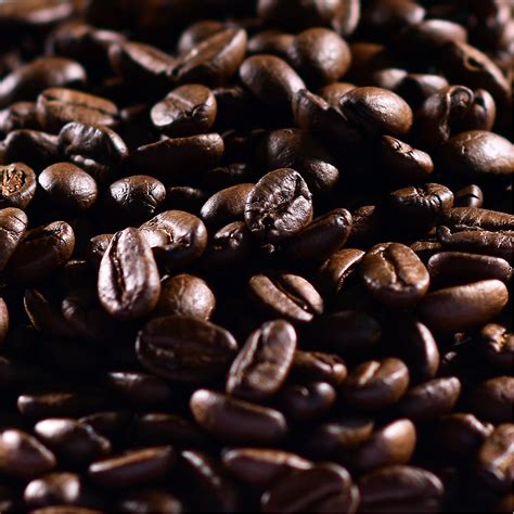 Buy Roasted Coffee Beans 100% Robusta 10kg Online - Aveon Café
