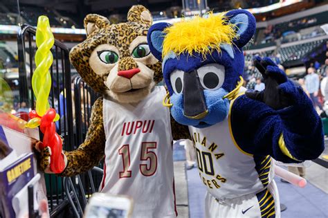 Jaguars and Pacers uniting for 2 IUPUI nights: News at IU: Indiana ...