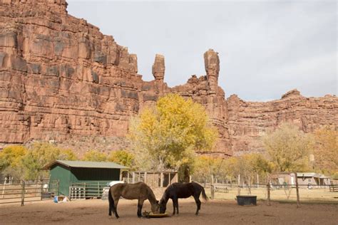 How to Get Havasupai Reservations (Havasu Falls Permits) | Footsteps of ...