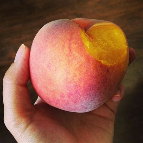 It’s Palisade Peach Season!