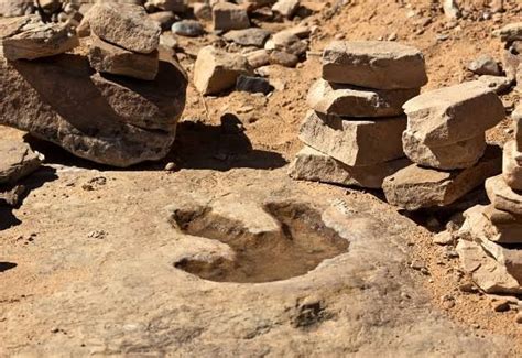 Red Gulch Dinosaur Tracksite, Greybull, northcentral Wyoming near ...