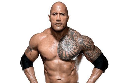 The Rock / Dwayne Johnson: Profile, Career Stats, Face/Heel Turns, Titles Won & Gimmicks | Pro ...